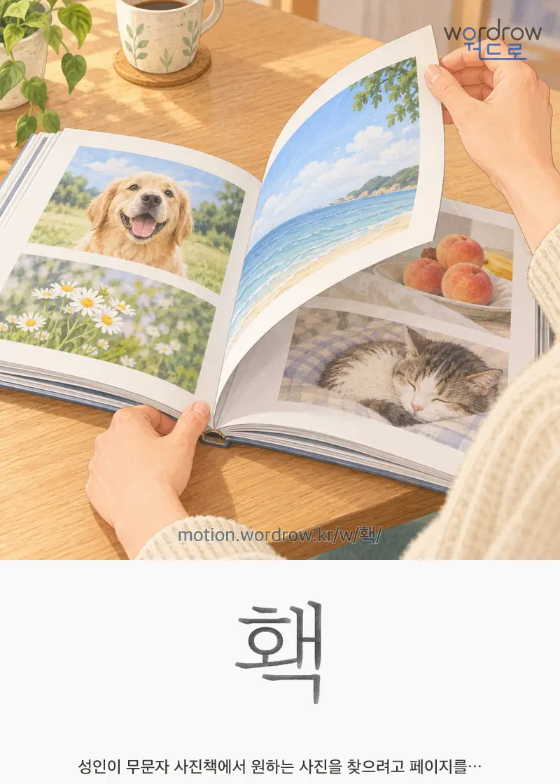 홱 — 성인이 무문자 사진책에서 원하는 사진을 찾으려고 페이지를…